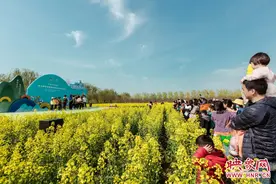 混合空翻、旋风腿法、720°转体…… 一场Tricking秀潮动封丘万亩油菜花海图片