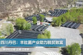 四川丹巴：羊肚菌产业助力脱贫致富视频封面