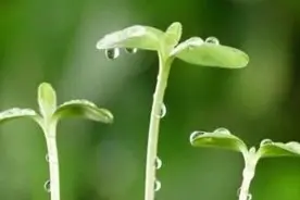 身体好，就是你最出色的成就图片