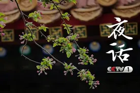 夜话丨冰心：一日的春光图片