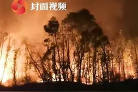 直击四川西昌森林火灾丨森林消防连夜扑救，目前火势已减弱视频封面