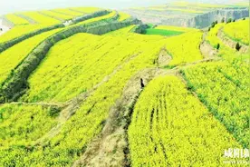 踏青赏花 乐享春日阳光图片
