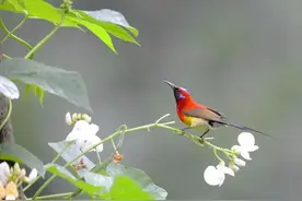 感悟|别人求我三春雨，我求别人六月霜图片