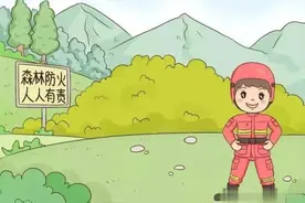 清明将至，这份森林防火指南请查收图片