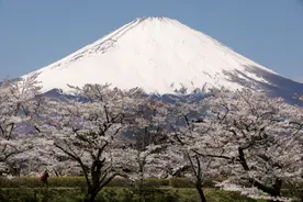 警惕火山碎屑流！日本拟修改富士山防灾对策图片