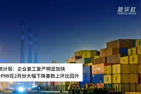 中国财富报道|国家统计局：企业复工复产明显加快 3月份PMI在2月份大幅下降基数上环比回升视频封面