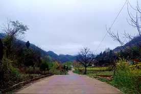 赵沟村“黑胶泥路”变形记图片