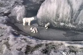 阳春三月 哈尔滨冰雪消融图片