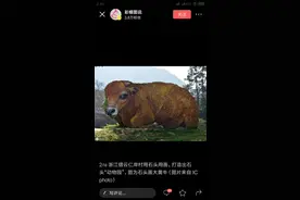 石头彩绘+金盆洗手+农乐园图片
