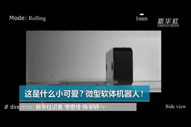 这是什么小可爱？微型软体机器人！视频封面