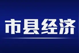 【市县经济】2019年芜湖市国民经济和社会发展统计公报图片