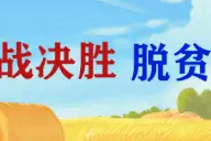 通辽中小学学区划分、分班、时间，今年这样做图片