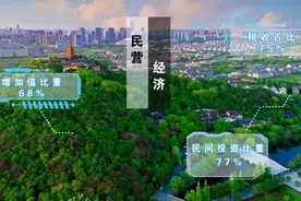 环境再优化、服务再提升，南通全力支持民营经济发展图片