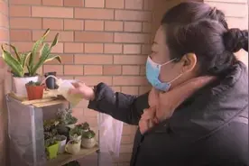 浇花草养乌龟晒被子 浙大宿管阿姨最近有点忙图片