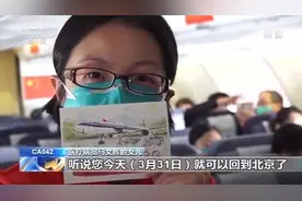 北京援鄂医疗队凯旋受最高礼遇 执飞机长：离春色满园不远啦图片