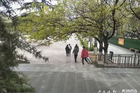 英雄山广场春意盎然，鸟语花香图片