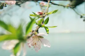 李成昊‖穿越时空的思念（清明思亲征文120）图片