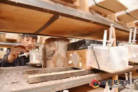 乘“蜂”而起：一位养蜂人从贫困户到致富带头人的勇敢蜕变图片