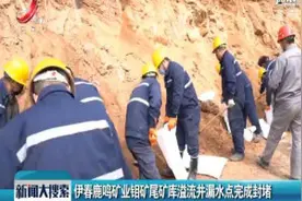 伊春鹿鸣矿业钼矿尾矿库溢流井漏水点完成封堵视频封面