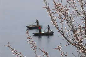 「云上赏春」河北：春意盎然花争艳图片