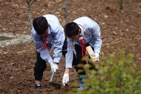德智体美之外，为什么还要强调“劳”？图片
