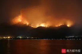 西昌森林大火扑救记：救火者连日奋战被熏黑，火灭后猴群归来觅食图片
