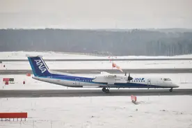 全日空飞行员确诊新冠肺炎 曾执飞美国纽约航线图片