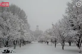 意外惊喜！山西五台山迎来春雪，网友：红墙白雪，美如人间仙境图片