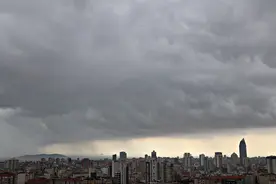 土耳其，“无疫情孤岛”的沦陷图片