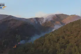 【新华网现场报道】期待山火过后，泸山早日恢复往日美景视频封面