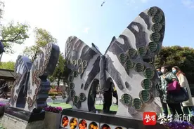 骨灰加工成饰品，南京墓园推出生命晶玉生态葬图片