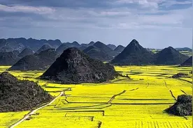 从江南仲春到塞北盛夏，它开遍了中国图片