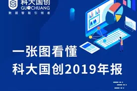 一图看懂科大国创2019年年报图片