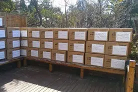 昆山FC助教斯坦季奇捐2万个口罩，亲自见证中塞友谊图片
