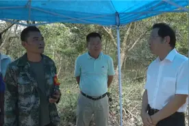 屯昌强化森林防火 切实把苗头消灭在萌芽状态图片