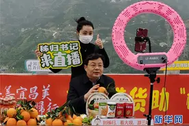 县委书记玩转直播带货，点击破千万卖橙数万斤，是旅游局长出身图片
