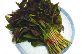 野菜“七头一脑”，永远吃不厌图片