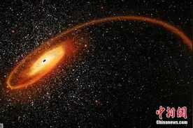 黑洞吞噬恒星“大餐”现场画面壮观图片