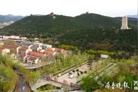 春风吹绿了济南的英雄山，一片生机盎然图片