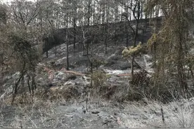 西昌山火东西两侧村民互指对方为起火点图片
