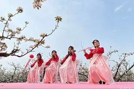 宿豫：相“豫”梨“缘”梨花节“云”上开幕图片
