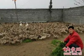 汝南县常兴镇张红英：返乡创业带民富图片