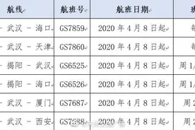 天津航空4月8日起恢复武汉进出港航班图片