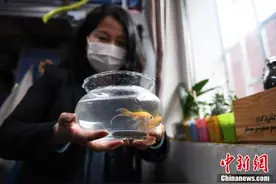 兰州大学宿管阿姨帮学生照看宿舍绿植图片