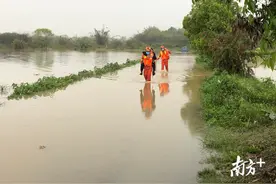 暴雨致司机被困，乐昌消防趟水营救图片