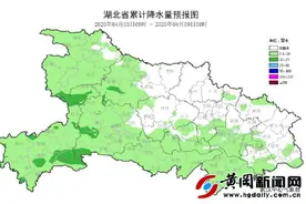 黄冈人：清明期间最高温19℃！森林火险等级较高图片