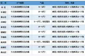 海丽气象吧丨今年清明山东不再雨纷纷 风大需注意防火图片