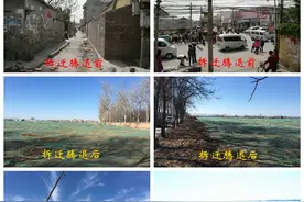 新闻背后｜城市森林公园 家门口的“大自然”图片
