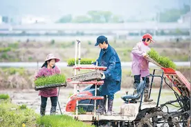 粮食供给短缺？多虑了图片