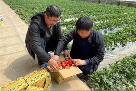 偶买噶！赶紧买！青岛一80后副书记直播带货促销售图片